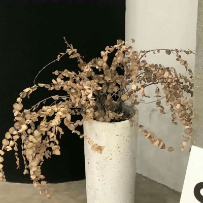 遂川福瑞交流群